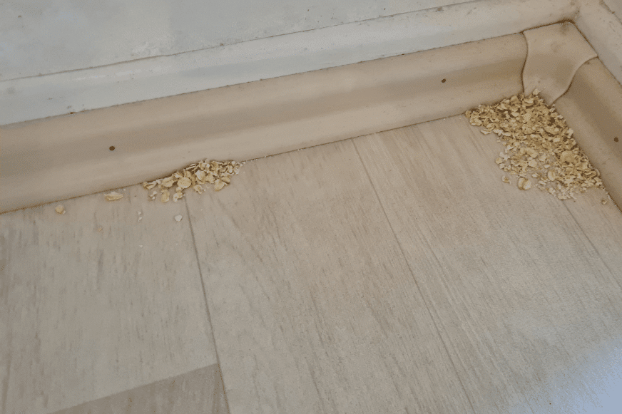 Das Reinigungsergebnis des Samsung Jet Bot AI Plus in einer Ecke ist zu sehen.